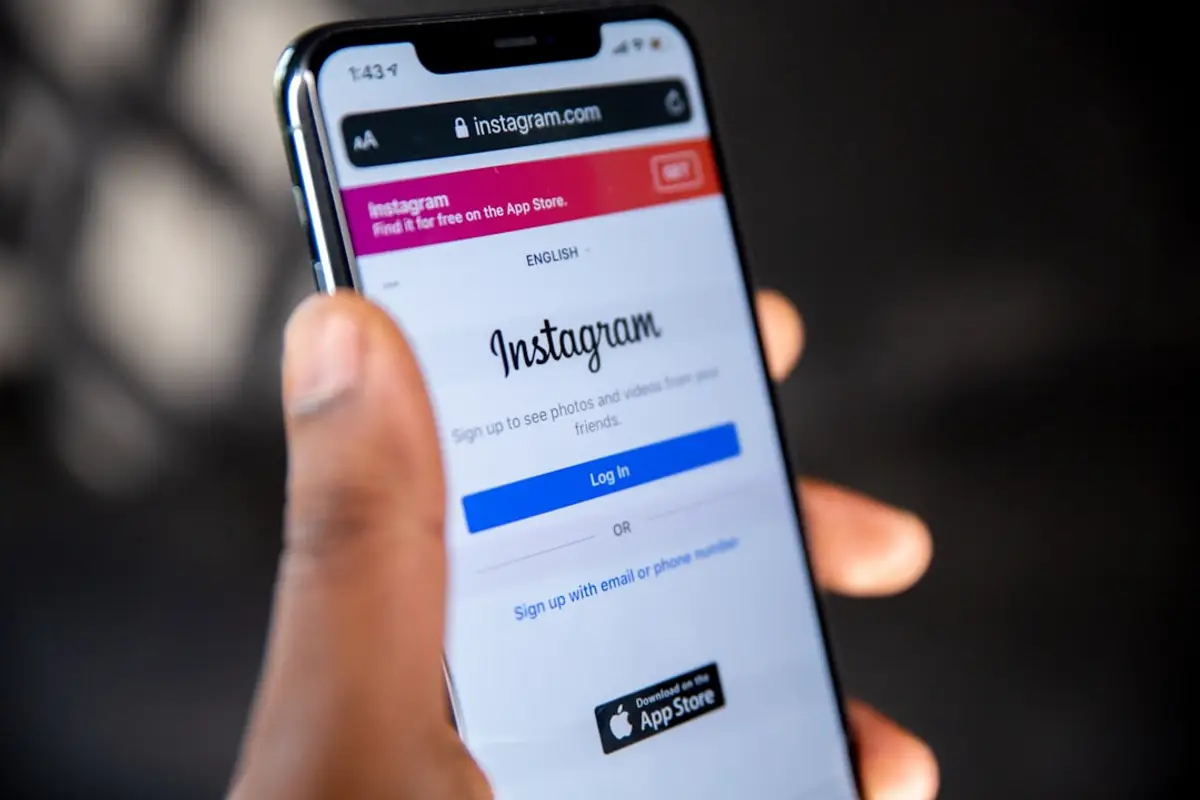 best website tool for restaurants