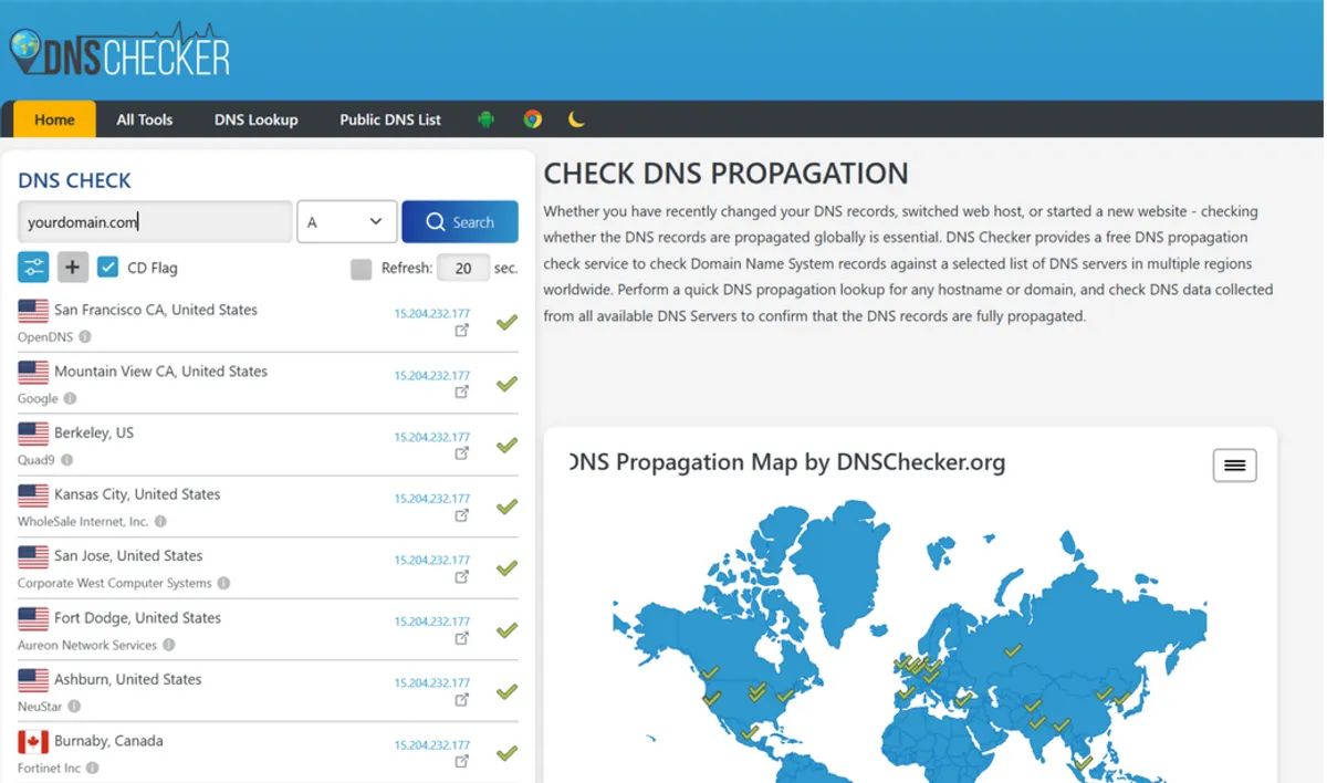 DNS checker Instago