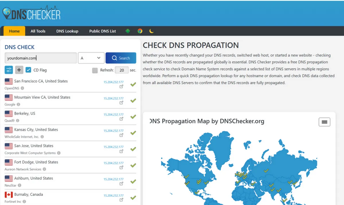 DNS checker Instago.ai